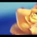 Rose Wright Photo 45