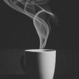 Michael Jaeger Photo 36 Michael Jaeger Photo 36