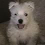 Bonnie Quick Photo 7