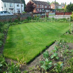 Terry Hopper Photo 37