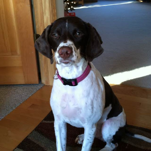 Michelle Zink Photo 11