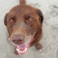 Stacy Garland Photo 27