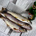 April Trout Photo 3