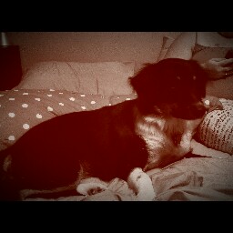 David Ransom Photo 26