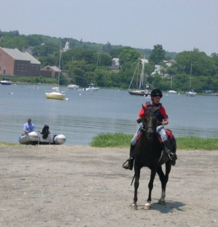Maryellen Sheehan Photo 6