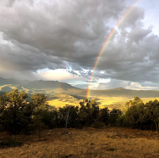 Cyndi Nelson Photo 47