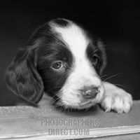 Janet Simons Photo 26