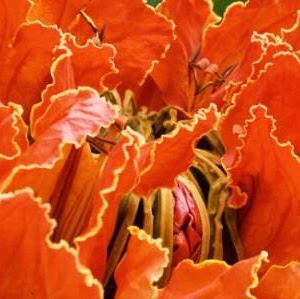 Marilyn Calvert Photo 5