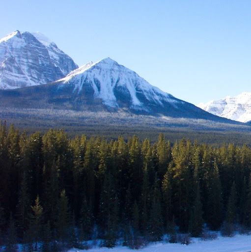 Tracey Harris Photo 17