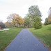 David Saylor Photo 45