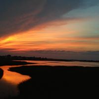 Jeannie Mccarthy Photo 10