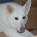 Mandy Whiting Photo 20