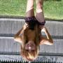 Dianna Brooks Photo 6