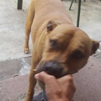 Kathleen Nemeth Photo 16