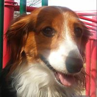 Kristi Peters Photo 42