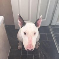 Michael Glover Photo 50 Michael Glover Photo 50