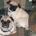 Sandra Strickland Photo 45