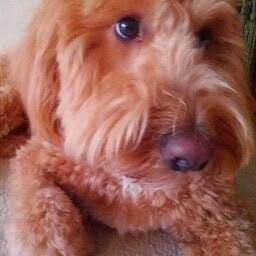 Barbara Wozniak Photo 20