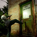 Stephen Seigel Photo 14