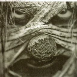 Jonathan Tarr Photo 2