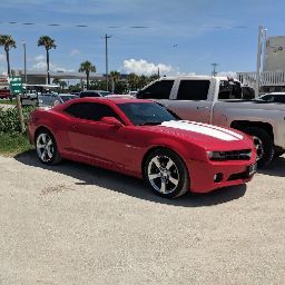 Susan Keith Photo 32