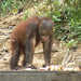 Jane Evans Photo 31