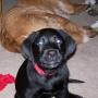 Melissa Barnhart Photo 23