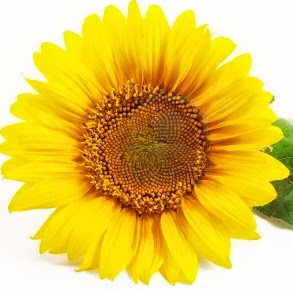 Dianne Richardson Photo 8