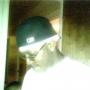 Devon Nicholson Photo 30
