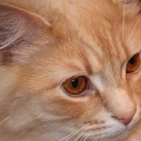 Shirley Spalding Photo 9