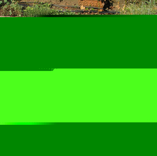 David Pollack Photo 15