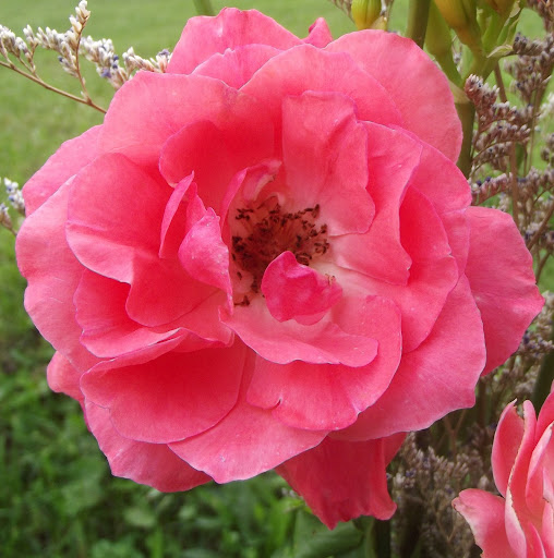 Hattie Montgomery Photo 15