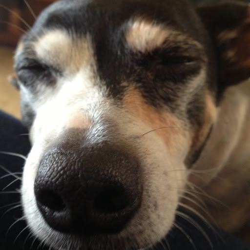 Melissa Kendrick Photo 13