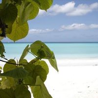 Janine Benoit Photo 5