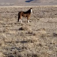 Mary Kramer Photo 19