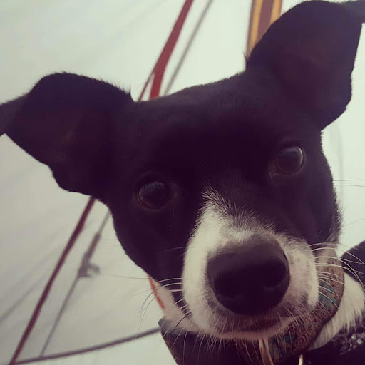 Meredith Murray Photo 14