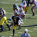 David Gingell Photo 16