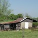 Kelly Pickens Photo 28