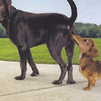 Vicki Camden Photo 2