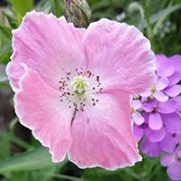 Julie Bragg Photo 23