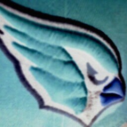 Stephen Acosta Photo 22