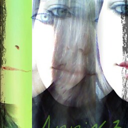 Crystal Groves Photo 6