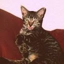 Michelle Hughes Photo 22