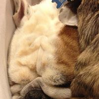 Ellen Gregory Photo 18