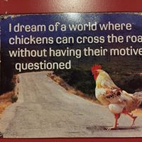 Howard Robbins Photo 19