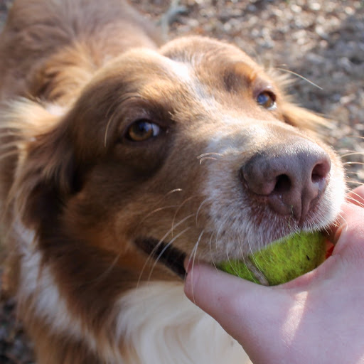 Joshua Eller Photo 5