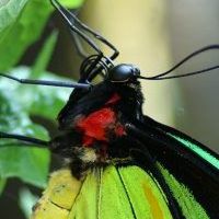 Gail Armstrong Photo 28