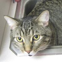 Martin Cunningham Photo 12