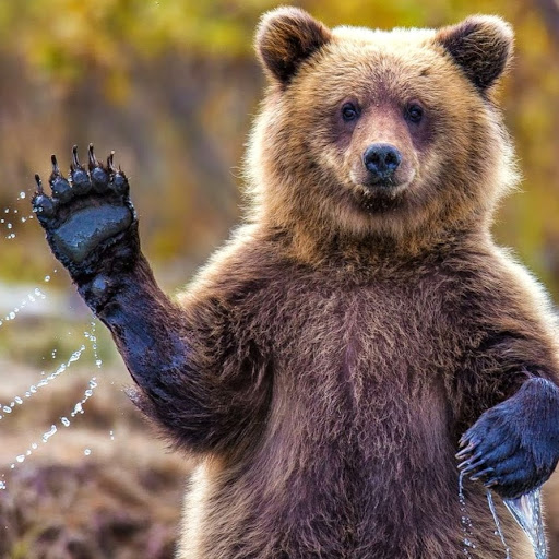 George Horton Photo 20