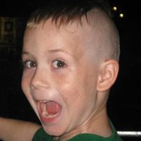 Jack Bussell Photo 7